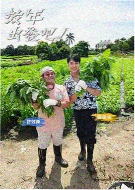 小马宝莉 线下活动